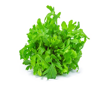 ARUGULA (HYDROPONICS)
