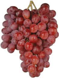 GRAPES RED GLOBE