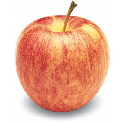Apples Gala (Market) EA 198ct