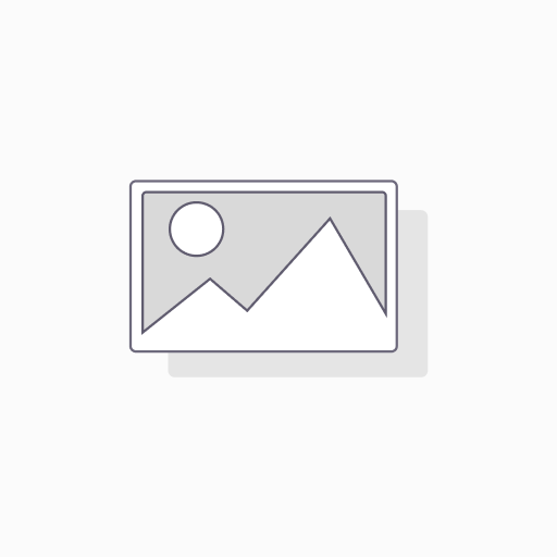 DR PEPPER - REGULAR 12OZ