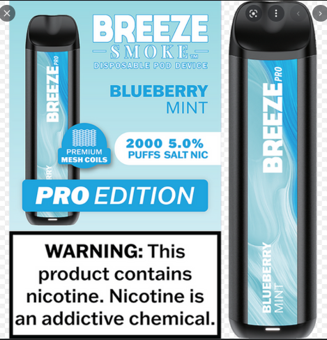 BREEZE PRO 2000 PUFF - BLUEBERRY MINT