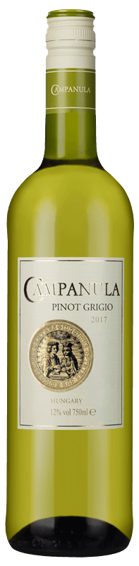 Campanula Pinot Grigio