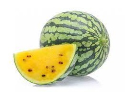 [04022] Yellow Melon