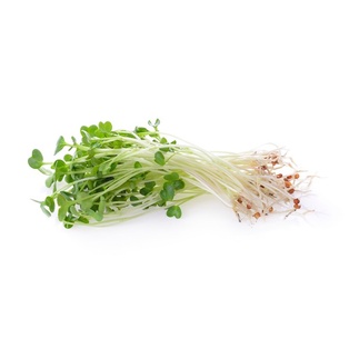 Sprouts - alfalfa 5oz
