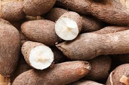 [04286] Cassava (Local)