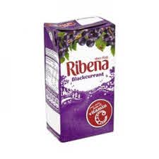 [04902] RIBENA - RTD BLACKCURRANT 250ML