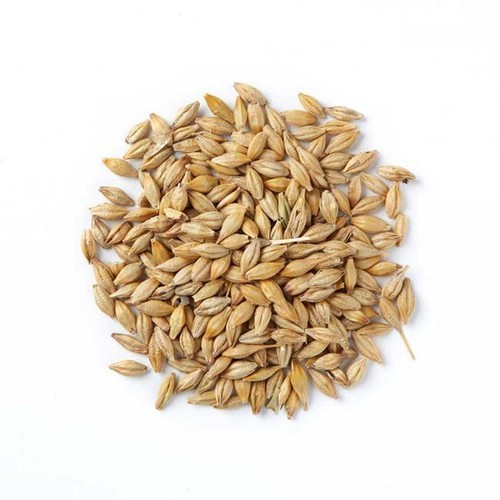 [08710] COOK'S MATE BARLEY SEED 226G