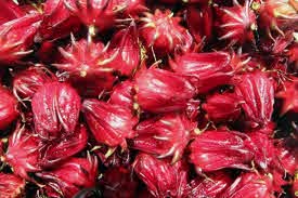 [09245] FRESH SORREL (1LB BAG)