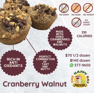 Happy Oat - Cranberry Walnut  MINIS