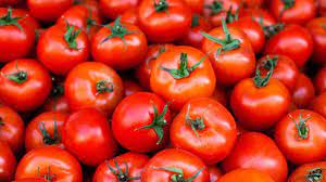 Tomato per lbs