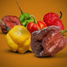 [09431] Hot Pepper (Market)