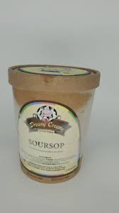 [09636] DREAMY CREAMY-SOURSOP 1L