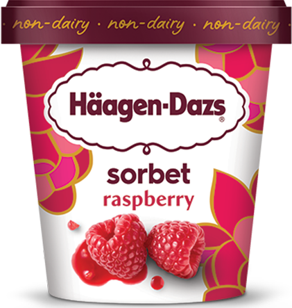 [12191] HAAGEN DAZ SORBET RASPBERRY (PINT) VEGAN