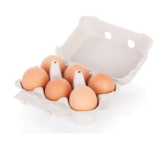 [15423] FITT ST EGGS 1/2 DOZEN