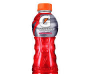 [15679] Gatorade Fruit Punch 350ML
