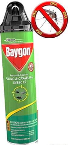 Baygon Aerosol Spray 600ml