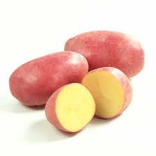 Potatoes - klon red gourmet 1.5lb