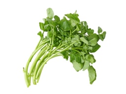 [08401] WATER CRESS (LOCAL)