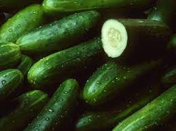 [09437] Cucumber PER LB