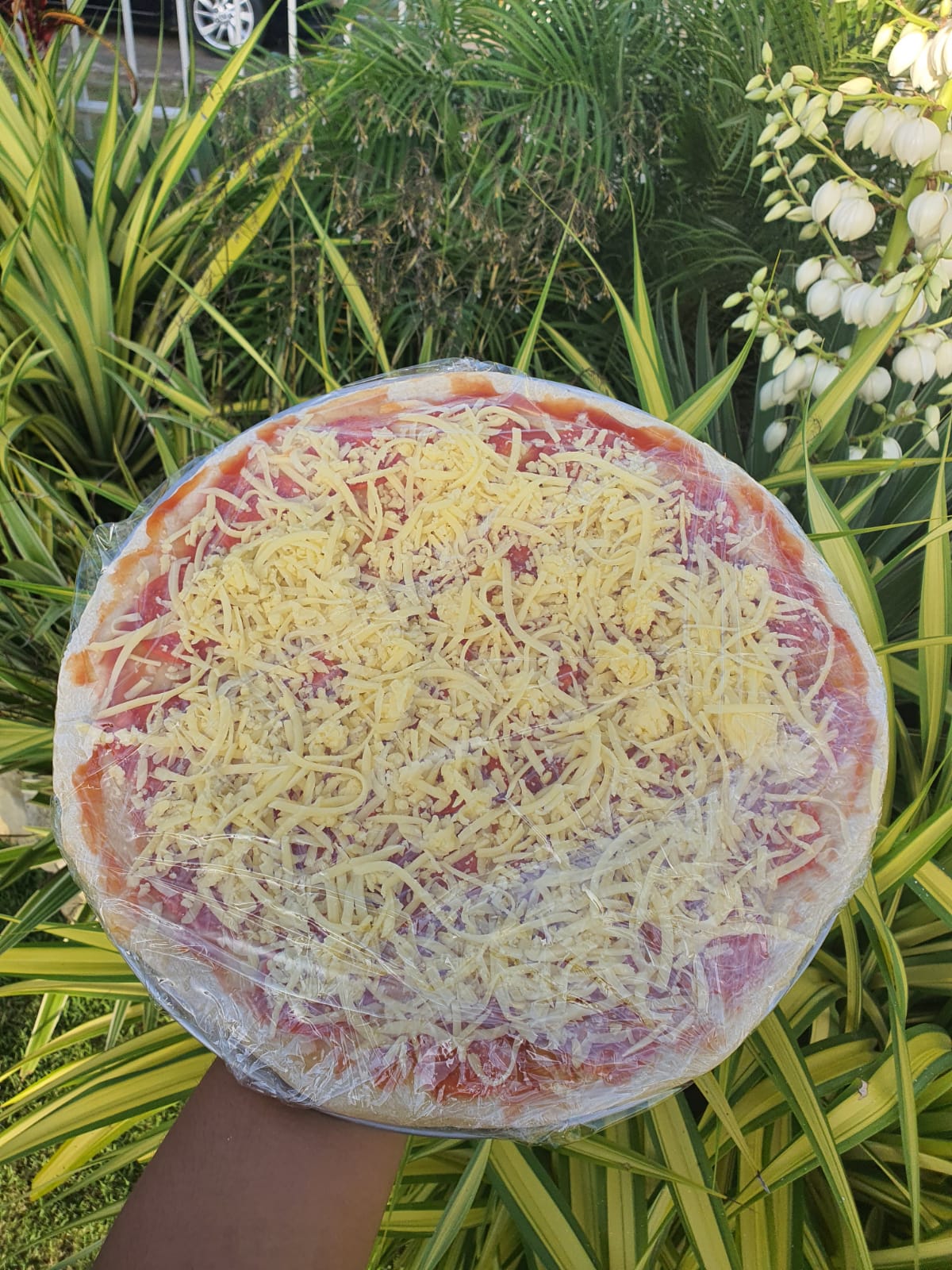 14" Pepperoni Whole Pizza (FROZEN)