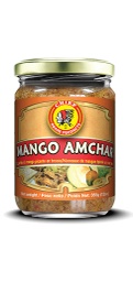 [00492] Chief- Amchar Mango -355gm