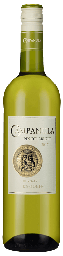 [01480] Campanula Pinot Grigio